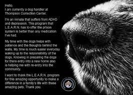 Ensure their care is supported by making a donation in their name. Lab Rescue And Adoption Wisconsin And Illinois L E A R N
