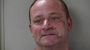 Cats rescued in Murfreesboro from camper at Walmart