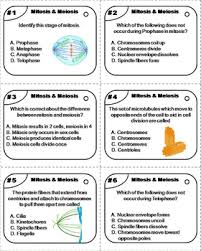 Interphase involves a series of changes that prepare a cell for division. Mitosis And Meiosis Task Cards Cell Division Cell Cycle Activity