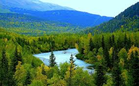 We did not find results for: Alaska Hd Wallpapers Free Download Wallpaperbetter