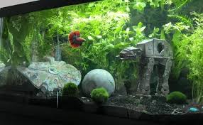 Uxcell aquarium resin turtle ramp rock basking stone decor. Creating The Perfect Star Wars Fish Tank Total Fish Tank