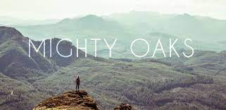 Скачивай и слушай mighty oaks brother на zvooq.online! Musik Des Tages Mighty Oaks Brother