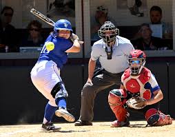 Madi Liimatainen's arm, bat deliver D5 title to Turners Falls