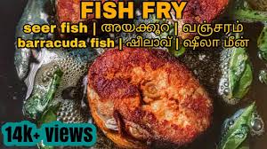 Due to the fact that the barracudas are characterized by having powerful. Seer Fish Barracuda Fish Fry Indian Style Tawa Fry Quick Recipe Youtube Shorts Lets Cooks And Satisfy Those Buds