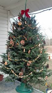 This One Is For The Birds All Bird Friendly Decorations Fun Easy Family Project Outdoor Christmas Tree Outdoor Christmas Tree Decorations Outdoor Christmas