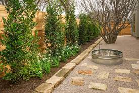 Another type of ornamental grass is maiden grass. Plants For Privacy Hgtv