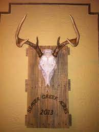 Euro Mount 6 Point Deer Mount Ideas Deer Hunting Decor Mounted Antlers