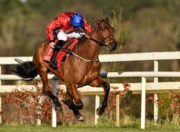 Envoi allen is reported to be settling in well after his move to henry de bromhead's yard. Racing Talking Points From Wetherby Down Royal Carlisle Horseracing Net