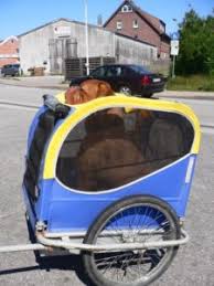 Hundefahrradanhanger Im Vergleich Testberichte Tipps Empfehlungen
