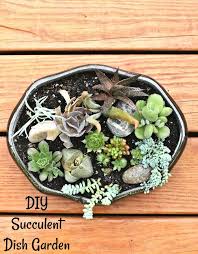 Make a diy succulent planter from old beer cans. Diy Succulent Arrangement Dish Garden Centerpiece Planter