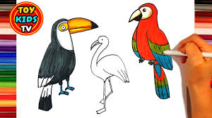 Did you scroll all this way to get facts about lucane drawing? Toucan Bird Drawing At Paintingvalley Com Explore Collection Of Toucan Bird Drawing
