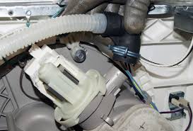 Pump motors can fail both electrically and mechanically. How To Replace A Dishwasher Drain Hose Repair Guide