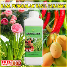 Ramuan atau bahan yang digunakan dalam racun organik biasanya berunsurkan tanaman dan herba. Baja Organik Tanaman Segar Kini Rahsia Terbongkar Hasil Tanaman Berganda Dgn Semburan Promultiplant Sayur Sawi Cili Bendi Dlu Kurg Subur Kuruih X Dpt Memenuhi Kehendak Pemborong Tp Lepas