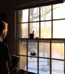 Wiwi égratigne tu me manques d'enrico palmieri. Comment Combler Le Manque De Lumiere En Saison Froide The Vert Et Chocolat