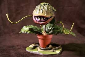 The house of flowers see more ». Little Shop Of Horrors Plant Replica Must Try To Make With Clay Little Shop Of Horrors Audrey Ii Halloween Crafts