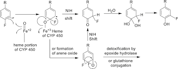 Check spelling or type a new query. Glossary And Tutorial Of Xenobiotic Metabolism Terms Used During Small Molecule Drug Discovery And Development Iupac Technical Report