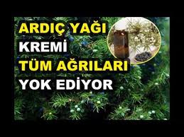 Hytrdgn Adli Kullanicinin Sfl Btklr 000000 Panosundaki Pin 2020 Saglik Saglik Urunleri Saglikli Yasam