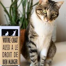 Le Kit A Croquettes Pour Chat Maison Cookat Une Boite En Metal Un Moule En Silicone De 800 Croquettes Et Un Guide De Recettes Www Co Cats Animals Cinema
