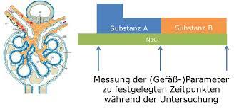 Cx is the renal plasma clearance of x. Methoden Ipm Erlangen Nurnberg