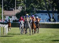Race Meeting