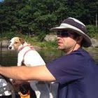 Bj S Honey Sriracha Brussel Sprouts Copycat Recipe Taco Bell Bing Bj S Brewhouse Brewhouse