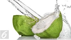 Air kelapa muda sangat banyak manfaatnya untuk tubuh dan sangat tidak diragukan lagi karena dalam satu butir kelapa hijau muda memiliki beberapa untuk lebih jelasnya selain khasiat air kelapa muda selain manfaatnya untuk menghilangkan dehidrasi ada juga untuk obat dalam. Manfaat Dahsyat Minum Air Kelapa Kala Perut Kosong Citizen6 Liputan6 Com