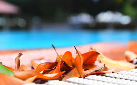 Piscine Combien Coute L Entretien Annuel