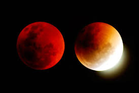 Image result for blood red moons 2007
