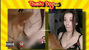 Youtube shorts video downloader automatically synchronizes the video and serves you a download link for you. Funny Video Memes Funny Video Memes Download Meme Videos Youtube Funny Internet Meme Videos Meme Videos Maker Meme Video Clips Short Meme Youtube