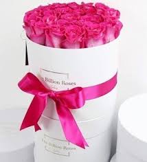 Pin By Annie 1 On Raspberry Cottage Lane Billion Roses Rose Flower Gift