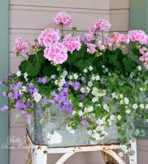 Pin On Geranium Lane