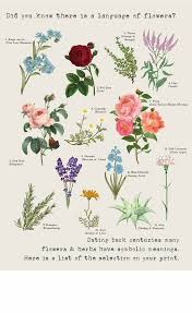 Flower that represents strength and courage. Our Favourite Memories In Flowers Personalised Print By Summer Lane Studio Notonthehighstreet Com