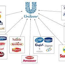 #1 position in deodorants, dressings & skin cleansing categories. 6 Unilever Multi Brand Strategy Download Scientific Diagram