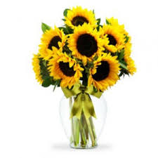 Check spelling or type a new query. Sunflowers