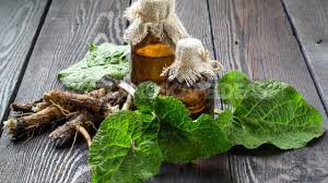 It is also effective in treating dandruff and dry hair conditions. Dandelion And Burdock Roots Against Skin And Hair Diseases Best Landscape Ideas