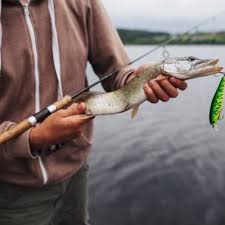 A Guide To Eating Fish From Lake Piru (Ventura County)