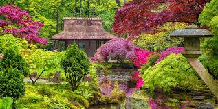 The little red tree to the right is a laceleaf weeping japanese red maple, the variety is 'crimson queen'. Japanese Garden Ideas How To Plant A Japanese Garden