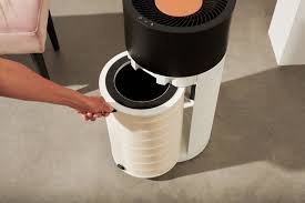 Pollen zijn onschadelijk voor ons. Hooikoorts Symptomen Verminderen Met Een Hepa Filter Luchtreiniger Duux Designed For Better Air