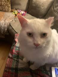 Is that your brother who went missing while skiing?