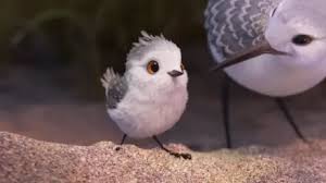 Image result for Piper