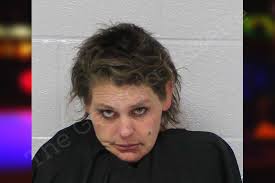 Edna Rayburn — Carroll County Jail Bookings