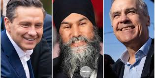 Needs better organization,' Torontonians spill the tea