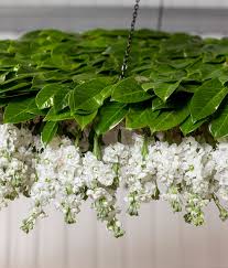 Mary jane vaughan is firmly established as one of london's leading luxury florists with a signature style of elegance and simplicity. Day One 3 Designs By Mary Jane Vaughan British Flowers Week