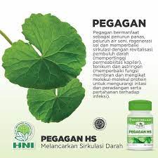 Pegagan Bermanfaat Sebagai Penurun Panas Peluruh Air Seni Regenerasi Sel Dan Memperbaiki Sirkulasi P Forex Trading Forex Trading Strategies Trading Strategies