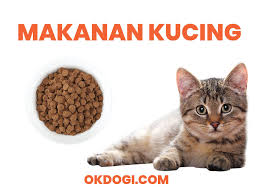 Sementara harga makanan kucing terus meningkat, wajar saja jika pemilik hewan peliharaan mencari makanan kucing murah terbaik. Makanan Kucing Terbaik Untuk Kucing Kesayanganmu