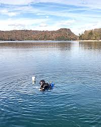 With 620 miles of secluded shoreline and 30,000 acres of shimmering lake at your front door, you can water ski, swim, fish and scuba dive often without seeing another boat for hours. Historic Discovery In Dale Hollow Herald Citizen