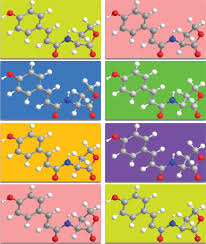 Image result for Rhizobium radiobacter, syn. Agrobacterium tumefaciens