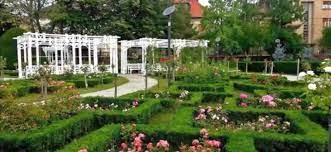 Descriere cu multe imagini, localizare, gps, contact. Cei Mai Scumpi Trandafiri Din Parcul Rozelor Din