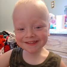 Felix the little fighter