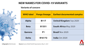 El surgimiento de la variante india o delta como la bautizó la organización mundial de la salud según este informe, en la vida real, la vacuna sinovac, la que más se ha inoculado en chile sí. No Evidence Inactivated Virus Vaccines More Efficacious Against Covid 19 Variants Than Mrna Ones Singapore Expert Committee Cna
